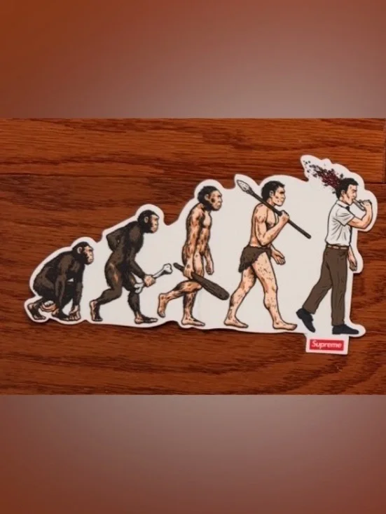 Supreme Evolution Sticker - Picture 1 of 1